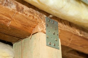 Zwalczanie szkodników drewna - co warto wiedzieć?