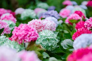 Sprzęt, który przydaje się podczas prac w ogrodzie i na działce