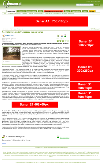 Banery na stronie artykułu