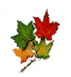 Logo ПП \"Експортевуд\"