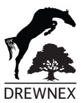 Logo Drewnex