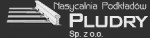 Logo Nasycalnia Podkładów