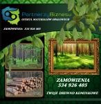 Logo Partnerzy Biznesu 