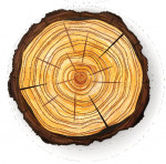 Logo T-Gruppe sp.z.o.o.