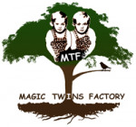 Logo MAGIC TWINS' FACTORY