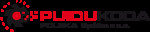 Logo Puidukoda Polska sp. z o.o.