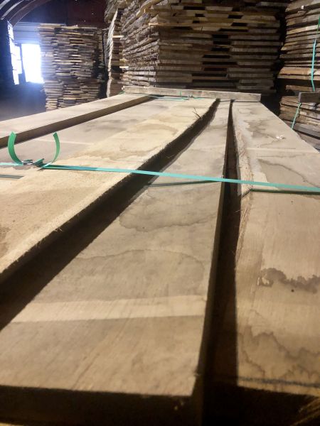 T A R C I C A  D Ą B. SUCHA !! Fsc klasa 1 duże ilości 