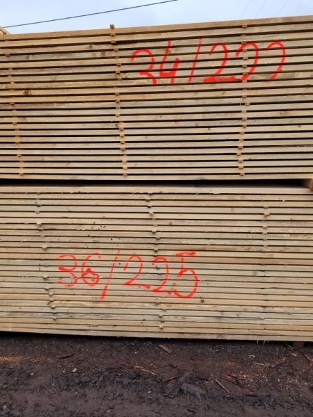 Tarcica świerkowa, świerk